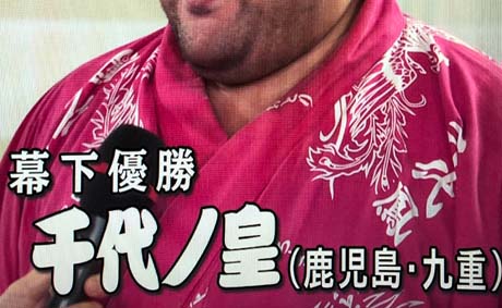 sumo