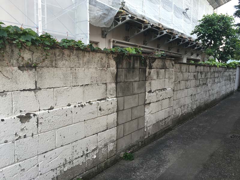 muyoumon