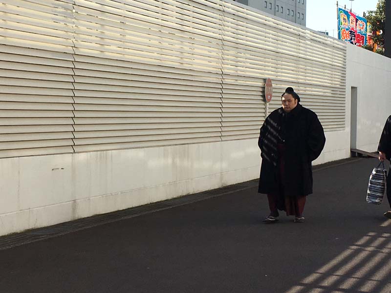 千代鳳