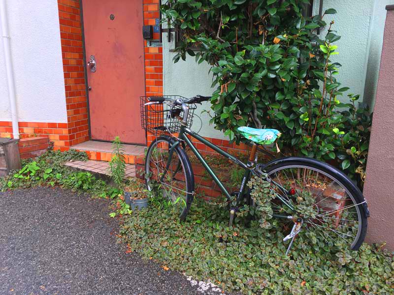 cycle