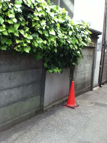 無用門